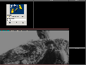 captures > cycle > cycle3.png