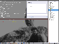 captures > ion > ion5.png