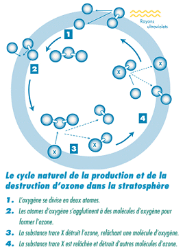 cycle