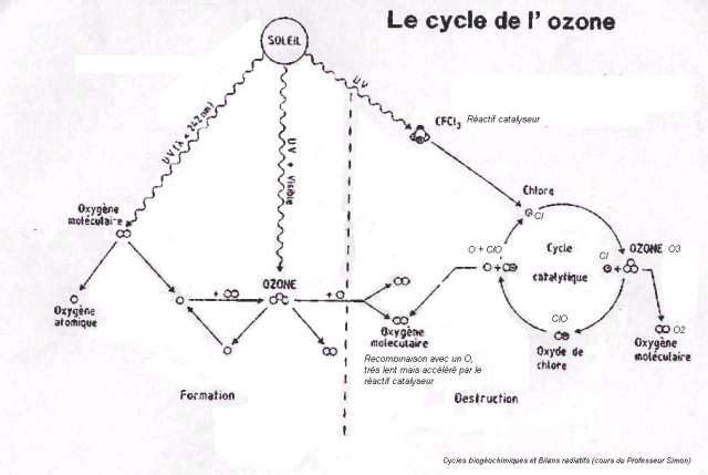 cycle